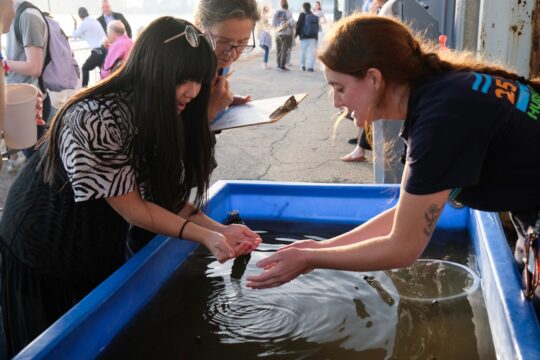 An HRPK River Project staffer places a small crab into the hands of a Release of the Fishes attendee at a touch tank station