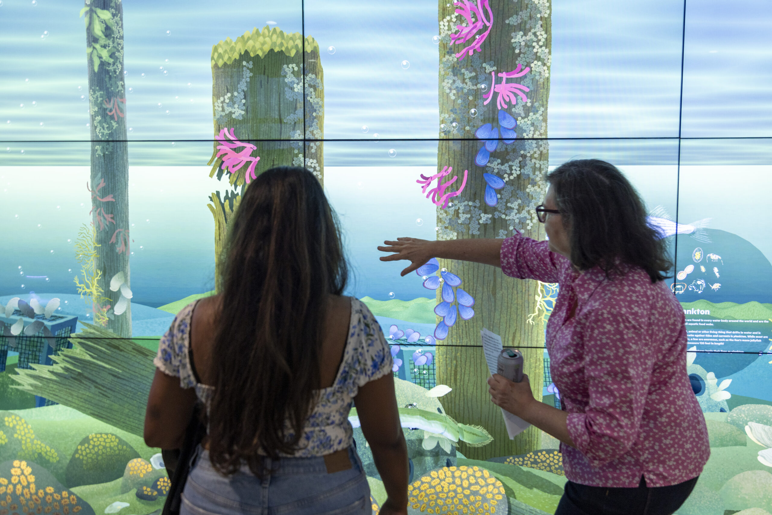 Visitors to the Pier 57 Discovery Tank use an interactive touchscreen