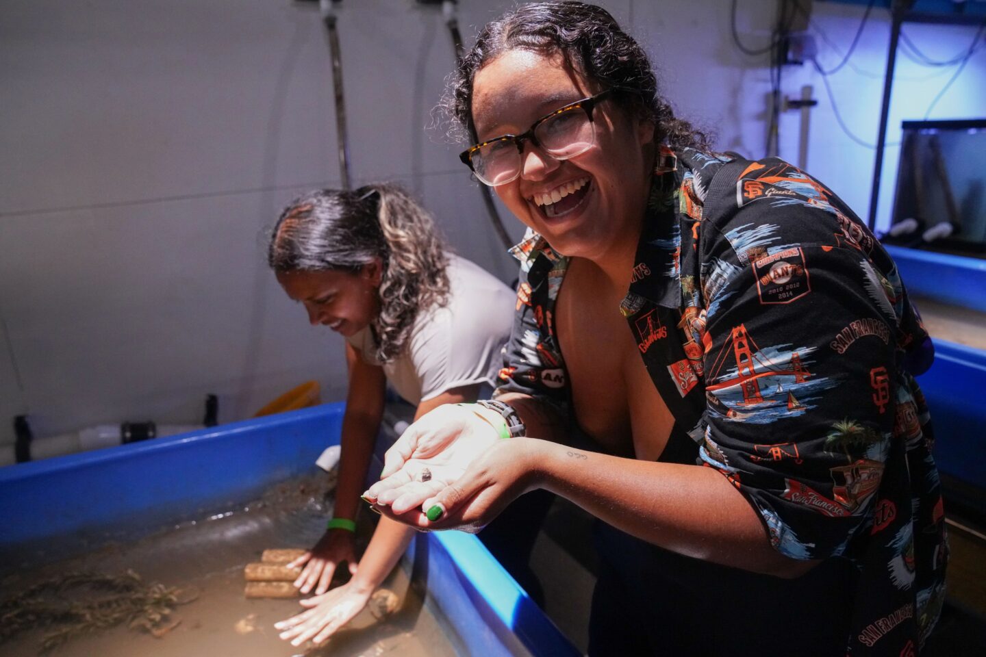 Two adults visiting the Pier 40 Wetlab hold small crabs in their hands at a touch tank station
