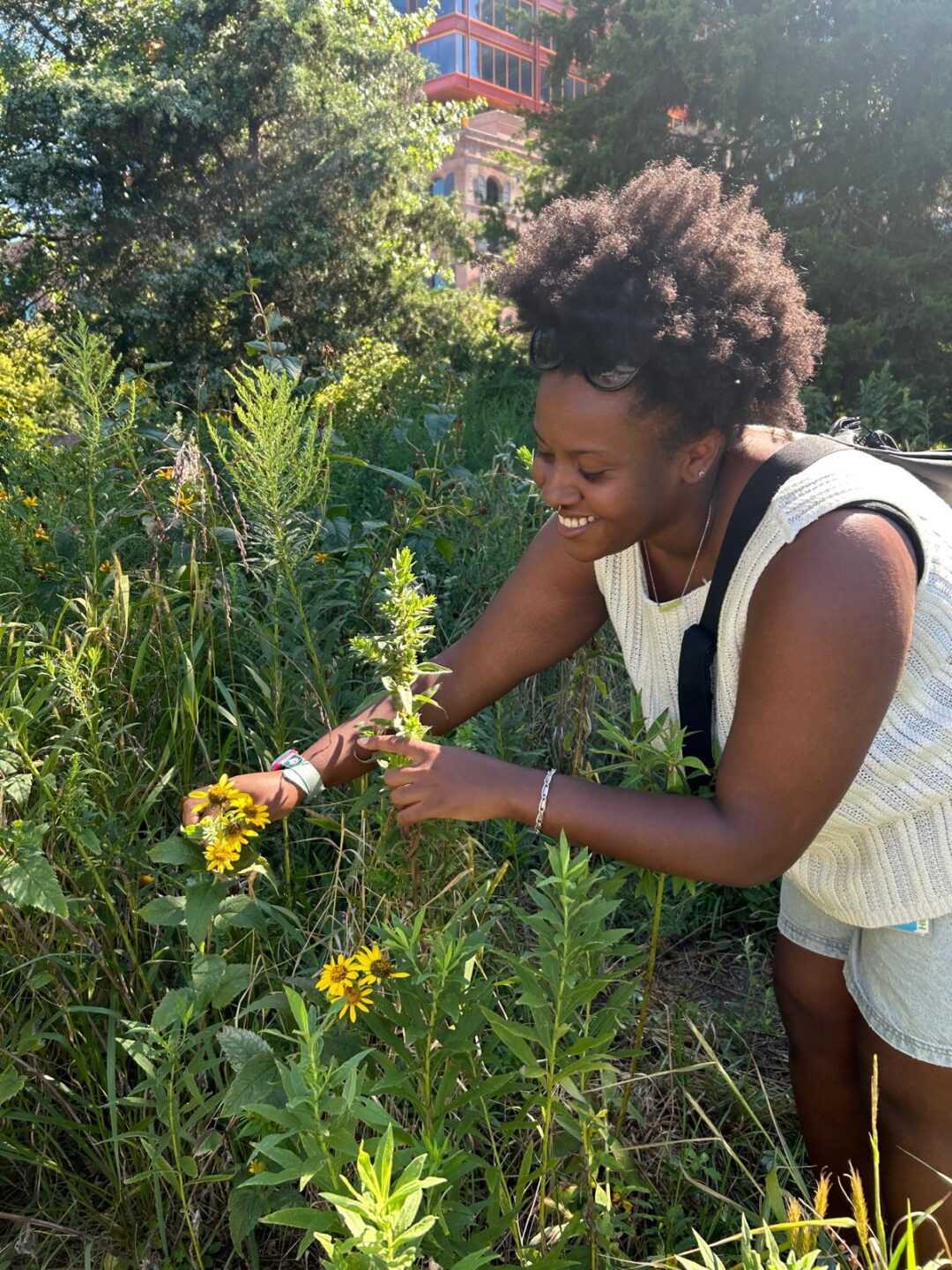 A person holding on to flowers planted in a garden bed at Hudson River Park's Habitat Garden