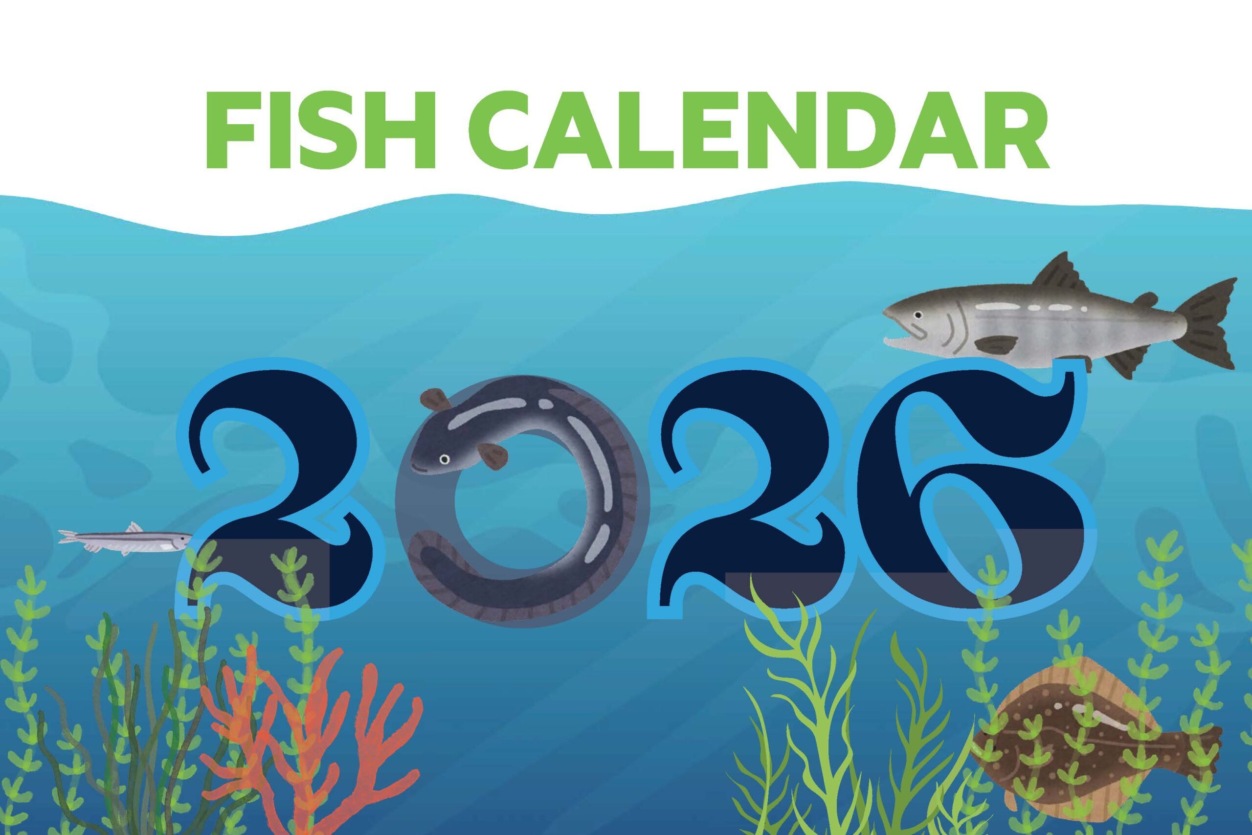 2026 Fish Calendar Hudson River Park FISH CALENDAR Cover Scaled 