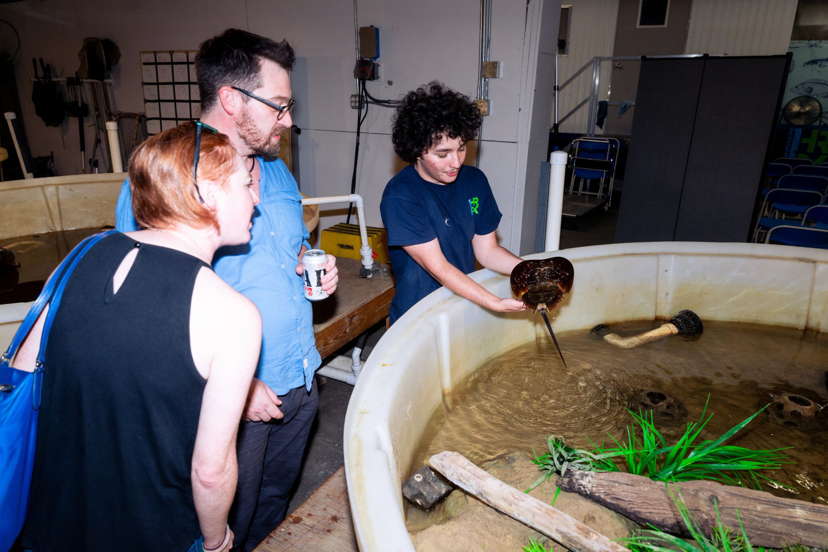 An HRPK River Project staffer holds a horseshoe crab above a touch tank to show it to two visitors at the Pier 40 Wetlab