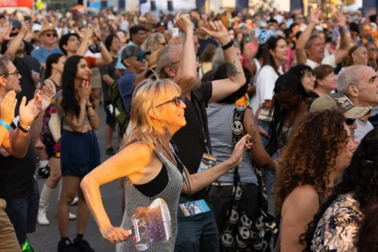 A crowd of people dancing during a Blues BBQ Festival performance