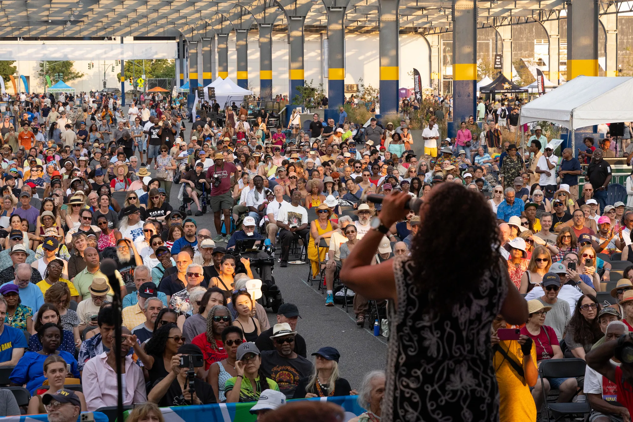 A singer on stage in front of a large audience at the Blues BBQ Festival