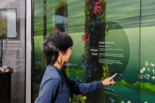 Person with short, dark hair engages with touchscreen interface