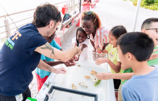 Children and adults gathered around a touch tank during a Hudson River Park fishing program at Pier 97.