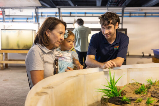 Hudson River Park staff member showing a child and adult an indoor touch tank habitat during a River Project program.