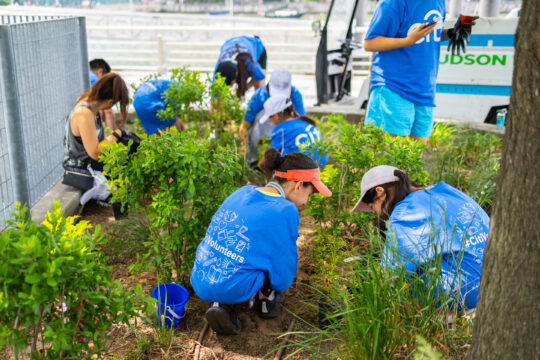 Volunteers gardening in a group at Citi Family Day 2026 in Hudson River Park
