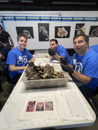 Citi volunteers monitoring oysters